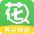 花百科app