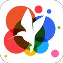 360小鸟壁纸手机下载官网