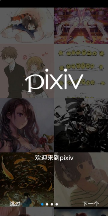 P站pixiv会员版app最新版